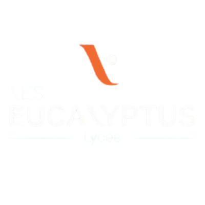 High School Diploma – STI2D (Technological Sciences & Sustainable Development)